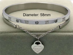 Stainless Steel Jewelry Wholesale - Stainless Steel Bangles - HY0041B308