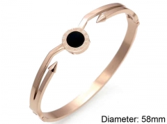 Stainless Steel Jewelry Wholesale - Stainless Steel Bangles - HY0041B253