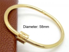 Stainless Steel Jewelry Wholesale - Stainless Steel Bangles - HY0041B398