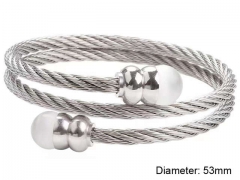 Stainless Steel Jewelry Wholesale - Stainless Steel Bangles - HY0128B112