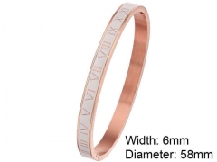 Stainless Steel Jewelry Wholesale - Stainless Steel Bangles - HY0076B180