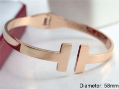 Stainless Steel Jewelry Wholesale - Stainless Steel Bangles - HY0033B156