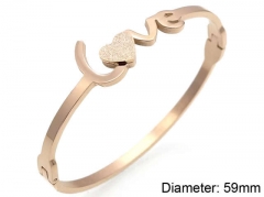 Stainless Steel Jewelry Wholesale - Stainless Steel Bangles - HY0041B325