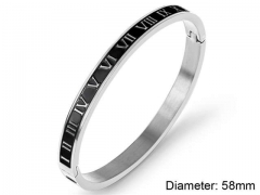Stainless Steel Jewelry Wholesale - Stainless Steel Bangles - HY0090B0710