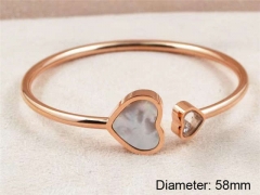 Stainless Steel Jewelry Wholesale - Stainless Steel Bangles - HY0033B013