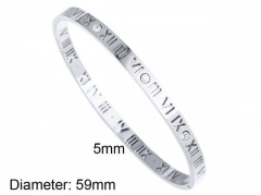 Stainless Steel Jewelry Wholesale - Stainless Steel Bangles - HY0097B059