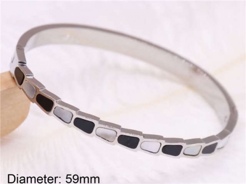 Stainless Steel Jewelry Wholesale - Stainless Steel Bangles - HY0122B254