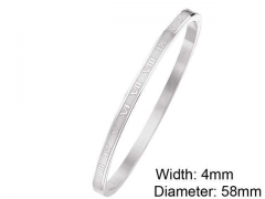 Stainless Steel Jewelry Wholesale - Stainless Steel Bangles - HY0076B086