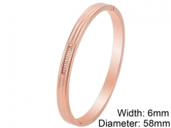 Stainless Steel Jewelry Wholesale - Stainless Steel Bangles - HY0076B309
