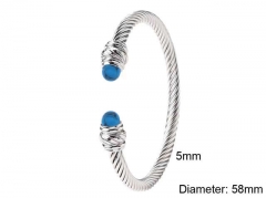 Stainless Steel Jewelry Wholesale - Stainless Steel Bangles - HY0128B131