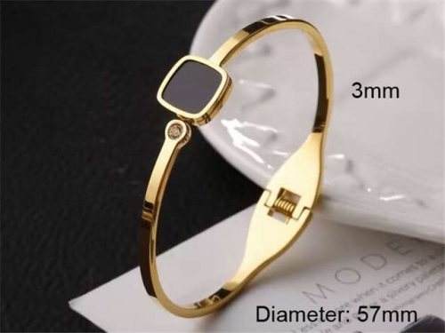 Stainless Steel Jewelry Wholesale - Stainless Steel Bangles - HY0123B010