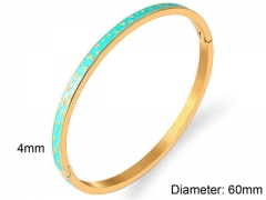 Stainless Steel Jewelry Wholesale - Stainless Steel Bangles - HY0090B1112