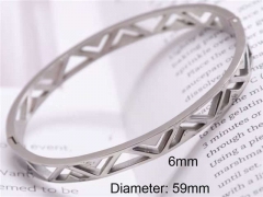 Stainless Steel Jewelry Wholesale - Stainless Steel Bangles - HY0122B257