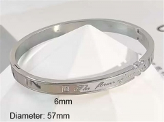 Stainless Steel Jewelry Wholesale - Stainless Steel Bangles - HY0123B198
