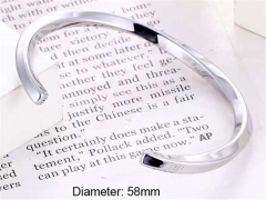 Stainless Steel Jewelry Wholesale - Stainless Steel Bangles - HY0041B075
