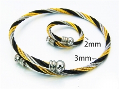 Stainless Steel Jewelry Wholesale - Stainless Steel Bangles - HY38S0169HLF