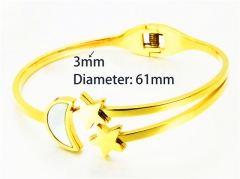 Stainless Steel Jewelry Wholesale - Stainless Steel Bangles - HY93B0070HMZ