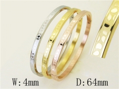 Stainless Steel Jewelry Wholesale - Stainless Steel Bangles - HY42B0251HOV