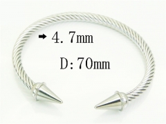 Stainless Steel Jewelry Wholesale - Stainless Steel Bangles - HY38B0869PQ