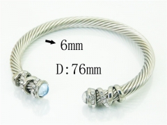 Stainless Steel Jewelry Wholesale - Stainless Steel Bangles - HY38B0769IHR