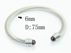 Stainless Steel Jewelry Wholesale - Stainless Steel Bangles - HY38B0855HLA