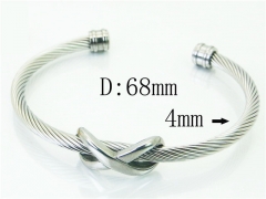 Stainless Steel Jewelry Wholesale - Stainless Steel Bangles - HY38B0726HJX
