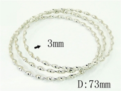 Stainless Steel Jewelry Wholesale - Stainless Steel Bangles - HY58B0622LZ
