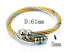 Stainless Steel Jewelry Wholesale - Stainless Steel Bangles - HY38B0600HKR