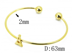 Stainless Steel Jewelry Wholesale - Stainless Steel Bangles - HY58B0508KLA