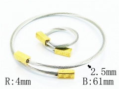 Stainless Steel Jewelry Wholesale - Stainless Steel Bangles - HY58B0443OU