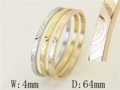 Stainless Steel Jewelry Wholesale - Stainless Steel Bangles - HY42B0261HOT