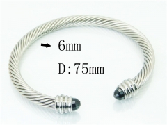 Stainless Steel Jewelry Wholesale - Stainless Steel Bangles - HY38B0856HLZ