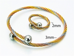 Stainless Steel Jewelry Wholesale - Stainless Steel Bangles - HY38S0175HLR