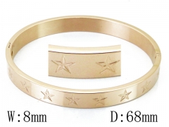 Stainless Steel Jewelry Wholesale - Stainless Steel Bangles - HY42B0214HDD
