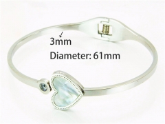 Stainless Steel Jewelry Wholesale - Stainless Steel Bangles - HY93B0079HIE