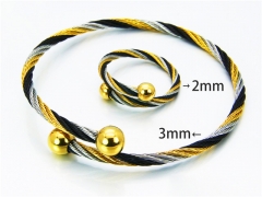 Stainless Steel Jewelry Wholesale - Stainless Steel Bangles - HY38S0174HLR