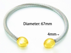 Stainless Steel Jewelry Wholesale - Stainless Steel Bangles - HY58B0157OR