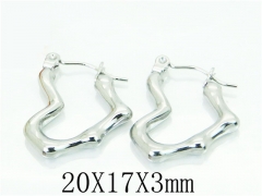Stainless Steel Jewelry Wholesale - Stainless Steel Earrings - HY70E0751KQ