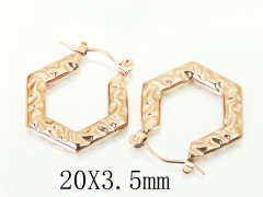 Stainless Steel Jewelry Wholesale - Stainless Steel Earrings - HY70E1113LE