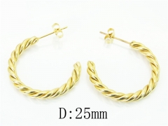 Stainless Steel Jewelry Wholesale - Stainless Steel Earrings - HY06E1706PQ