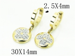 Stainless Steel Jewelry Wholesale - Stainless Steel Earrings - HY24E0059HHE