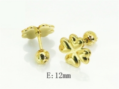 Stainless Steel Jewelry Wholesale - Stainless Steel Earrings - HY70E1421DKL