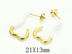 Stainless Steel Jewelry Wholesale - Stainless Steel Earrings - HY06E0340PQ