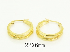 Stainless Steel Jewelry Wholesale - Stainless Steel Earrings - HY48E0090PX