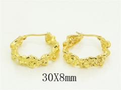 Stainless Steel Jewelry Wholesale - Stainless Steel Earrings - HY48E0087PR