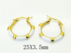 Stainless Steel Jewelry Wholesale - Stainless Steel Earrings - HY06E0450HFF