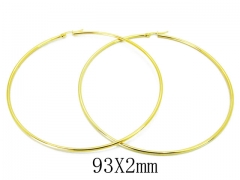 Stainless Steel Jewelry Wholesale - Stainless Steel Earrings - HY21E0080IP