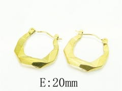 Stainless Steel Jewelry Wholesale - Stainless Steel Earrings - HY70E1280LQ