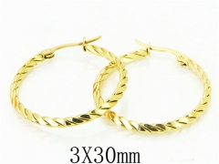 Stainless Steel Jewelry Wholesale - Stainless Steel Earrings - HY58E1707LG