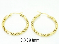 Stainless Steel Jewelry Wholesale - Stainless Steel Earrings - HY58E1696LQ